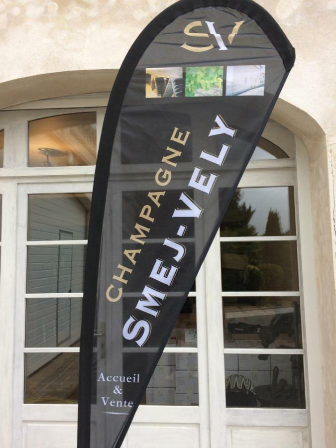 Chambres D'Hotes Karine Smej Châtillon-sur-Marne Exterior foto